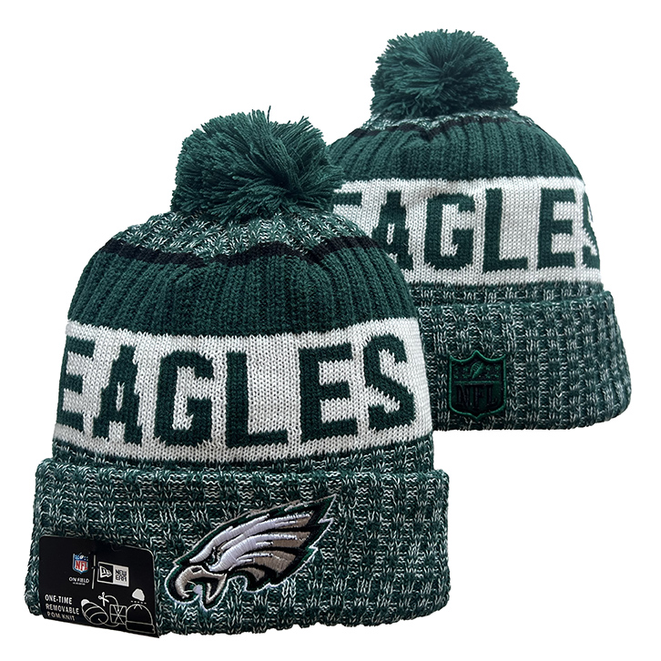 Philadelphia Eagles Knit Hats 0136